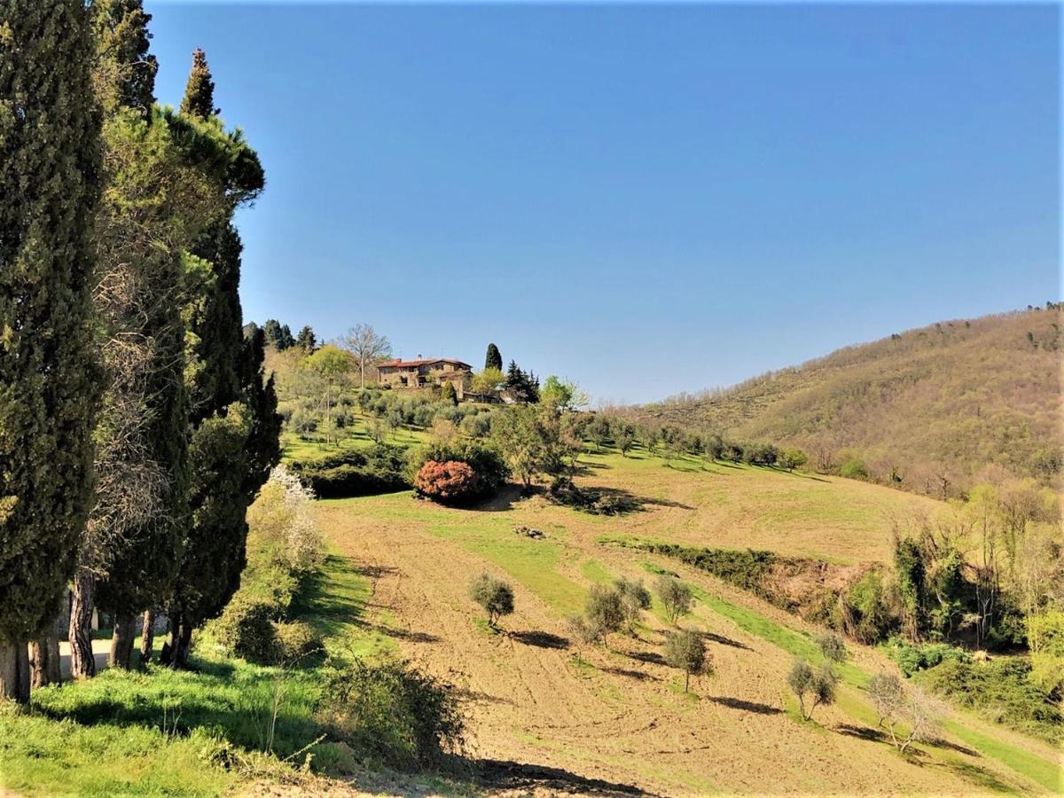 Agriturismo La Sala Greve in Chianti Exterior photo